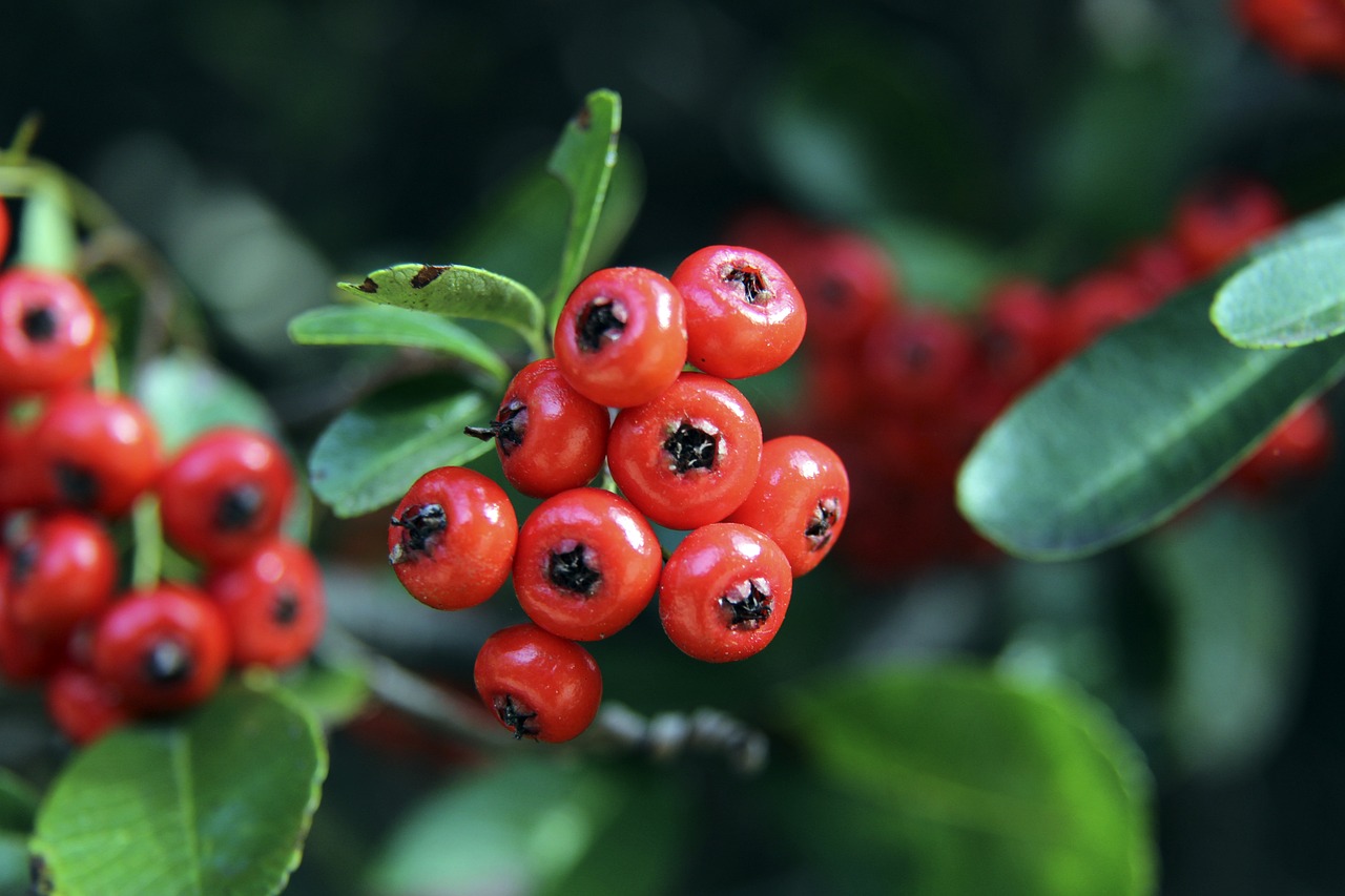 篮失准的困 篮失准的困