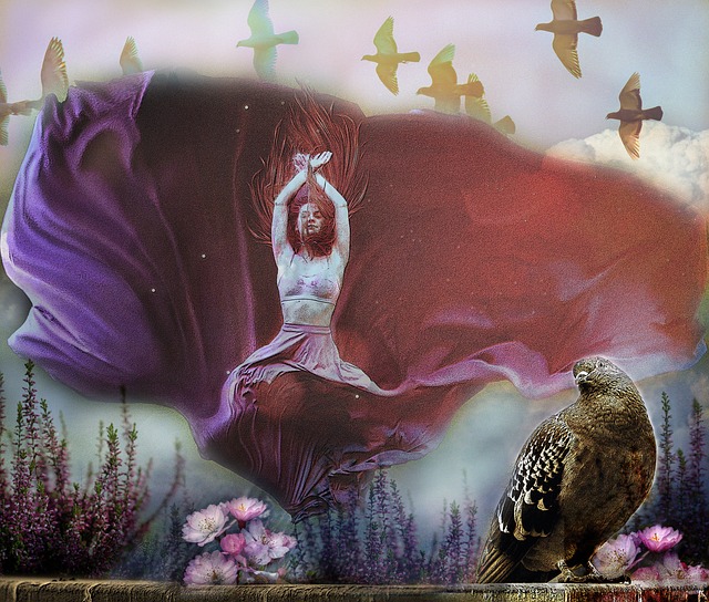 约基奇61 约基奇61